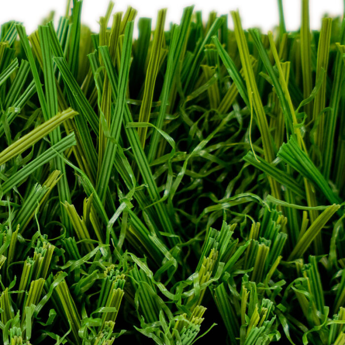 Malibu Fescue Green Thatch - Image 3