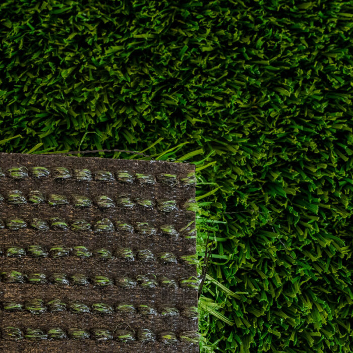 Malibu Fescue Green Thatch - Image 4