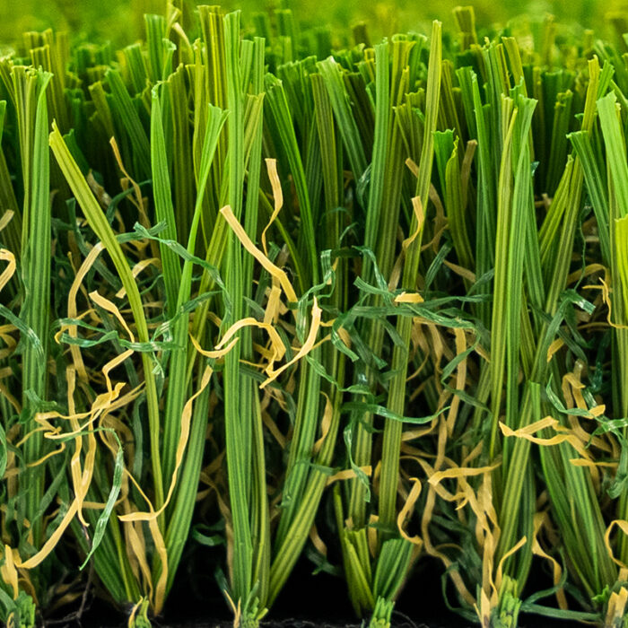 Malibu Fescue Pro - Image 3