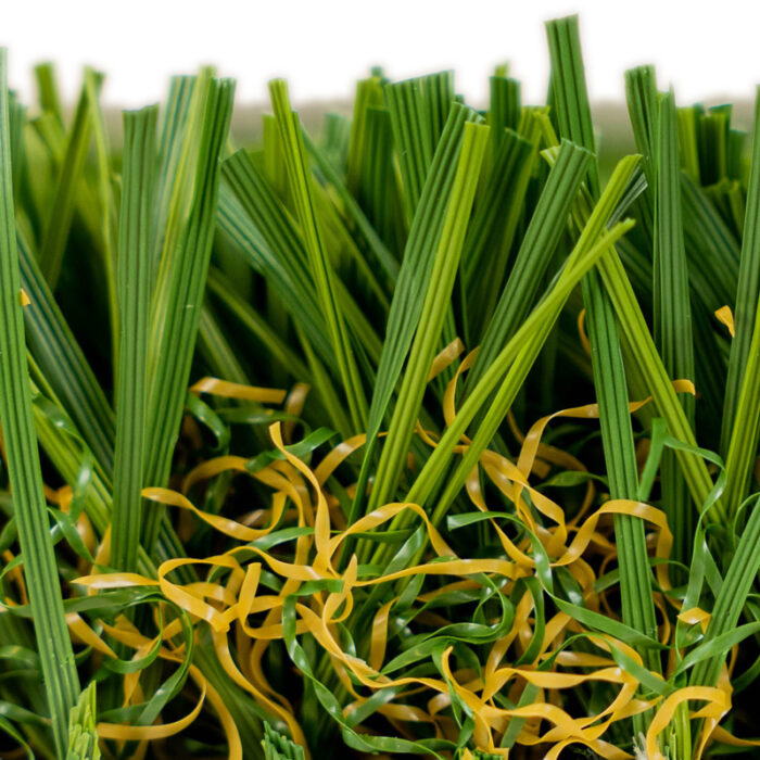 Playground Fescue - Image 3