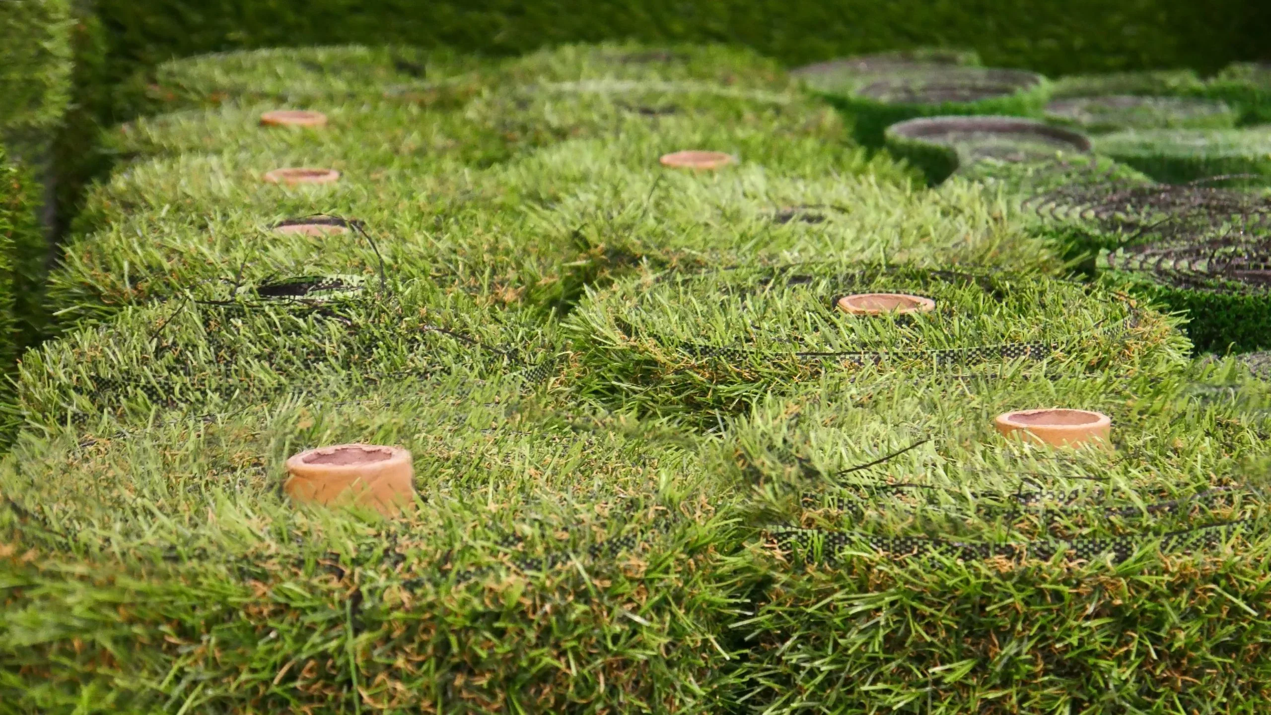 Searching for Synthetic Grass Near Me? How Colorado Homeowners Can Find the Right Turf Product