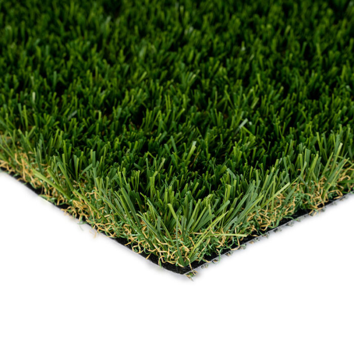 Diamond Light Fescue