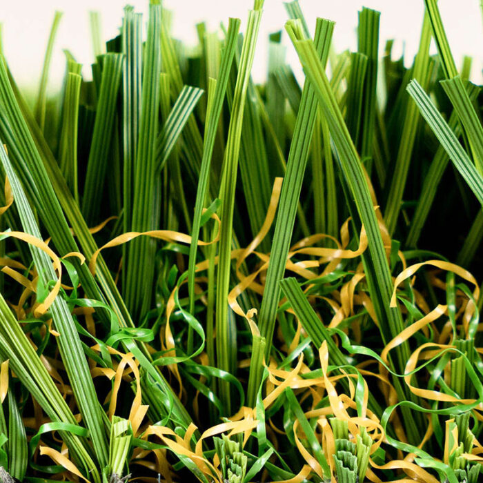 Diamond Light Fescue - Image 3