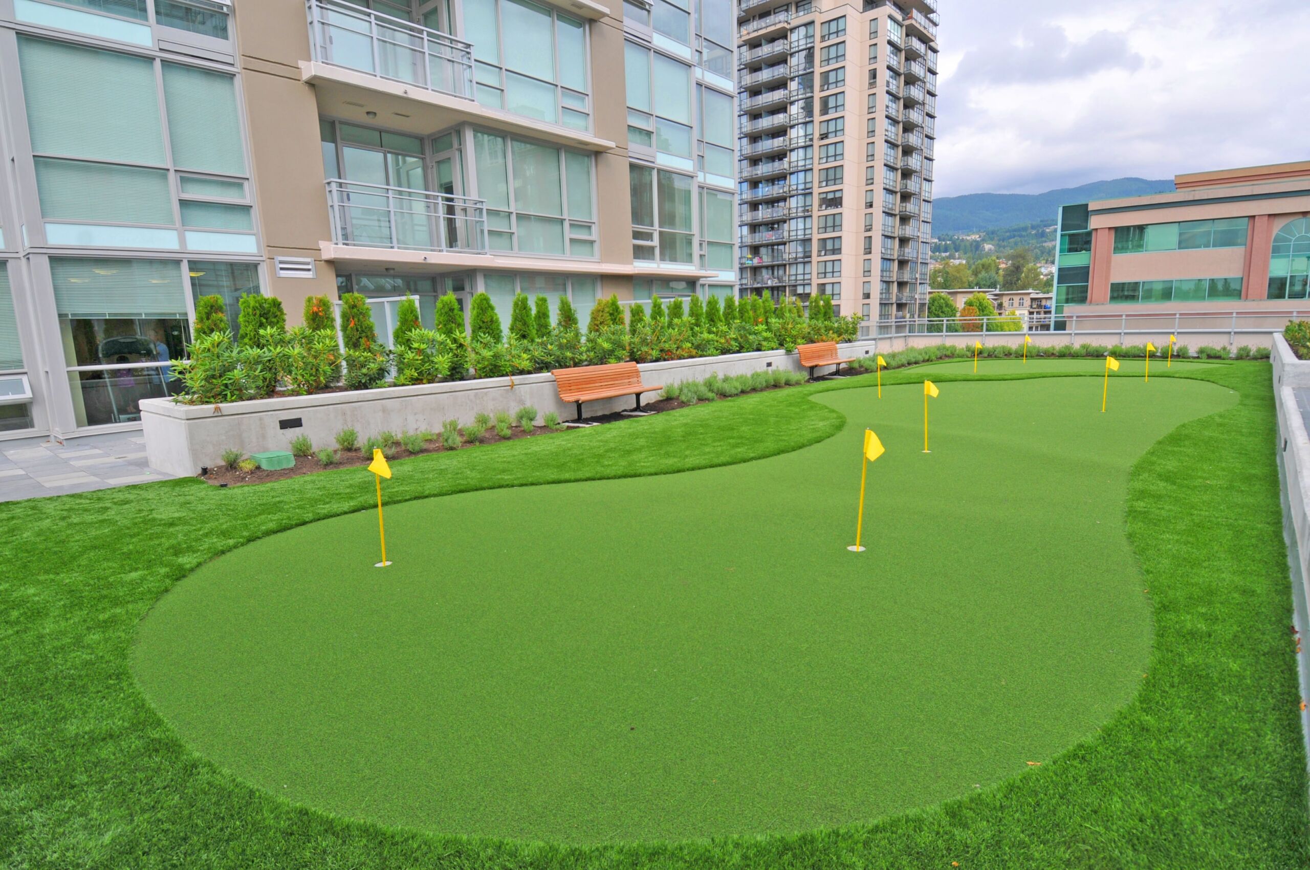 5 Unique Ways Colorado Businesses Are Using Artificial Turf